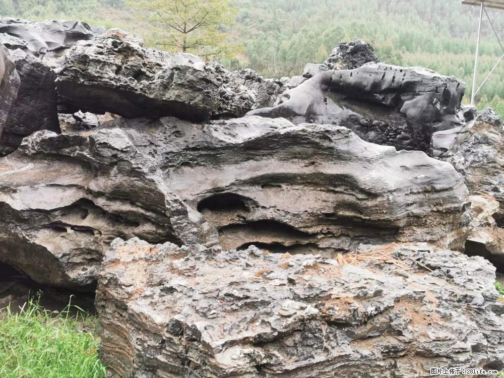 风景石、假山石大量有货，有需要的欢迎联系 - 新手上路 - 淮北生活社区 - 淮北28生活网 huaibei.28life.net