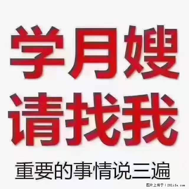 为什么要学习月嫂，育婴师？ - 其他广告 - 广告专区 - 淮北分类信息 - 淮北28生活网 huaibei.28life.net