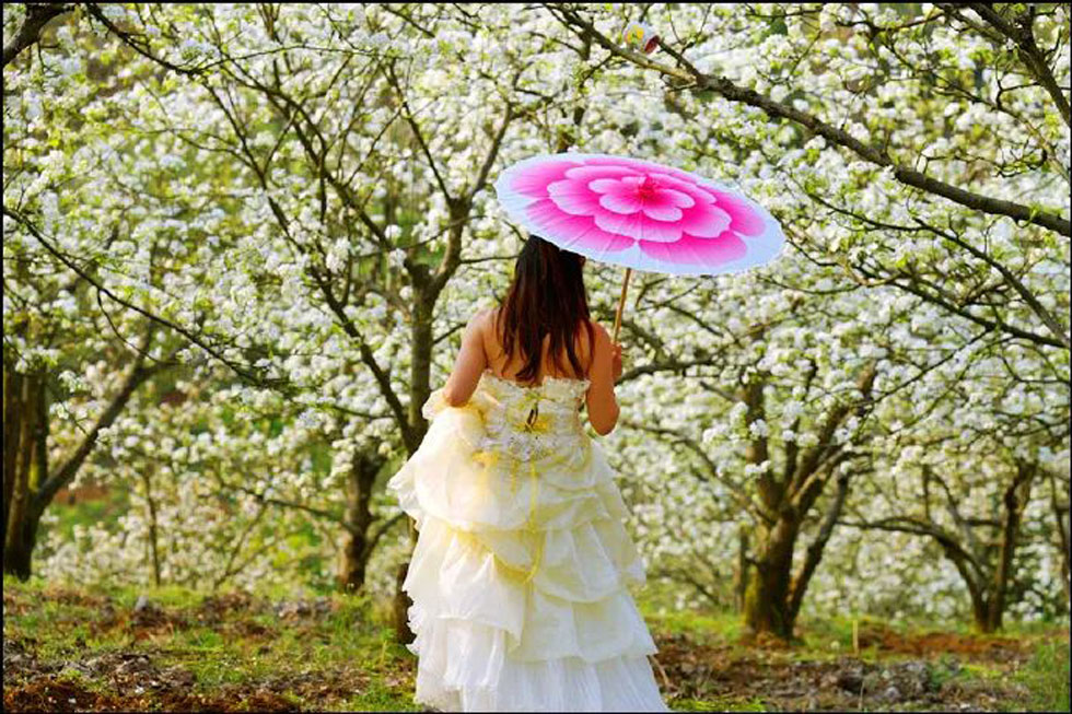 【春天，广西桂林灌阳县向您发出邀请！】我们在灌阳看梨花 - 游山玩水 - 淮北生活社区 - 淮北28生活网 huaibei.28life.net