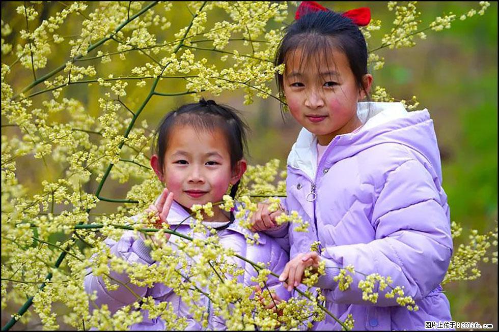 【春天，广西桂林灌阳县向您发出邀请！】米珠山前有片山苍子花在飘香 - 游山玩水 - 淮北生活社区 - 淮北28生活网 huaibei.28life.net