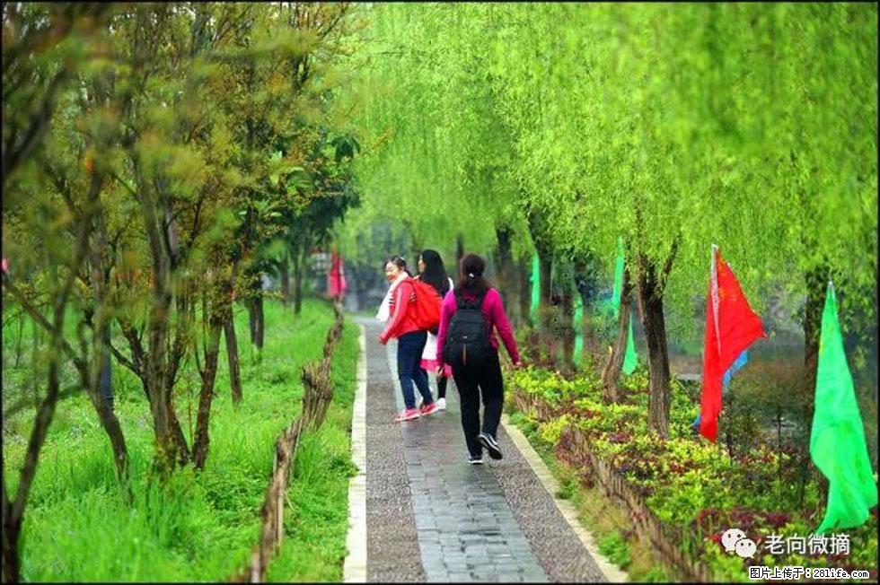 【春天，广西桂林灌阳县向您发出邀请！】江口老街又逢春 - 游山玩水 - 淮北生活社区 - 淮北28生活网 huaibei.28life.net