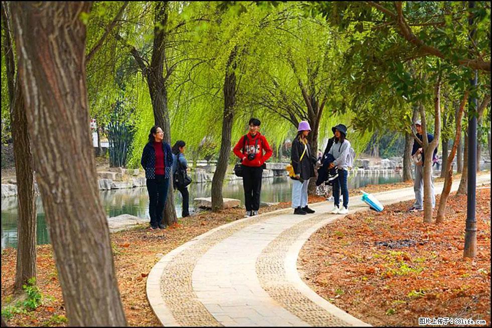 【春天，广西桂林灌阳县向您发出邀请！】江口老街又逢春 - 游山玩水 - 淮北生活社区 - 淮北28生活网 huaibei.28life.net