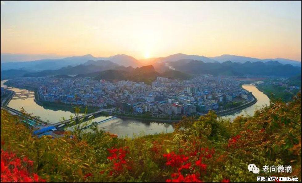 【春天,广西桂林灌阳县向您发出邀请!】登麒麟山,相约映山红 - 游山玩水 - 淮北生活社区 - 淮北28生活网 huaibei.28life.net