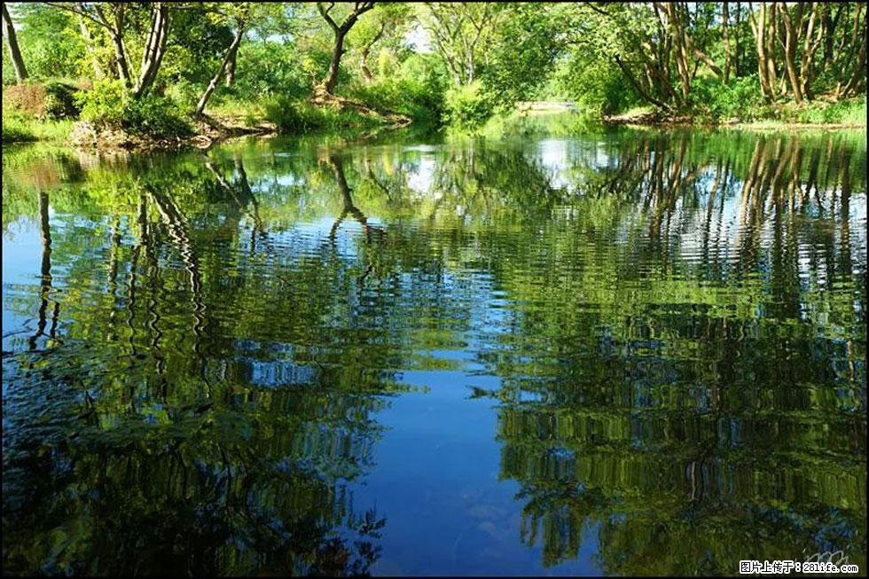 【春天，广西桂林灌阳县向您发出邀请！】熊家寨湿地公园 - 游山玩水 - 淮北生活社区 - 淮北28生活网 huaibei.28life.net