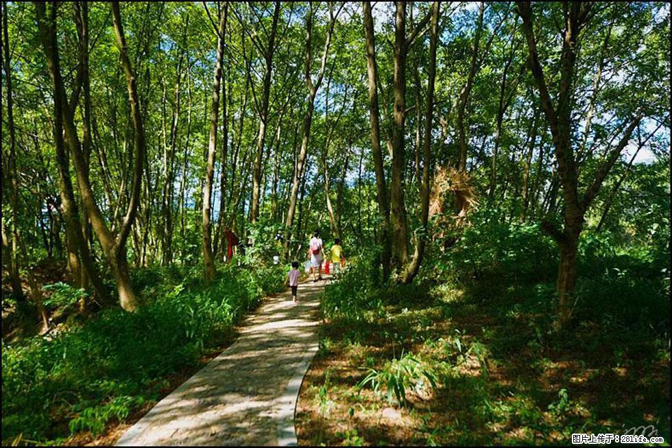 【春天，广西桂林灌阳县向您发出邀请！】熊家寨湿地公园 - 游山玩水 - 淮北生活社区 - 淮北28生活网 huaibei.28life.net