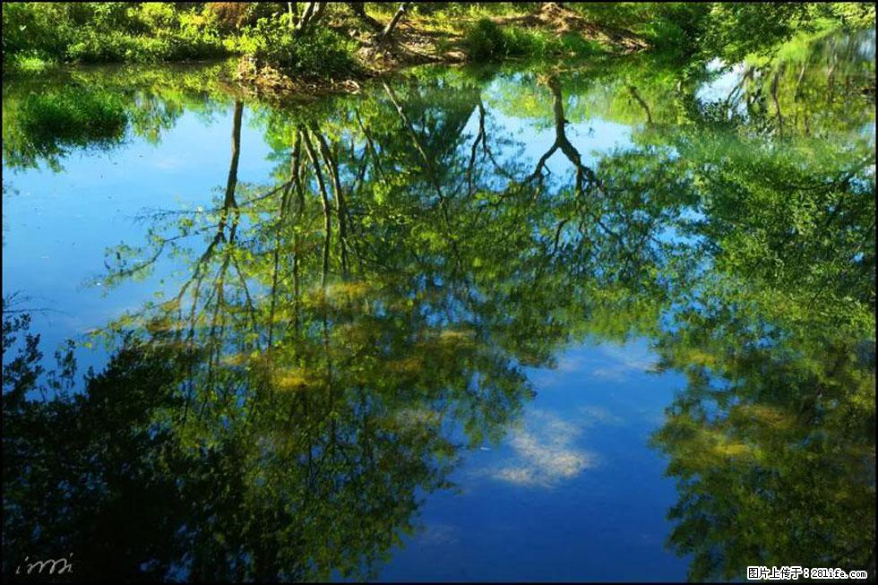 【春天，广西桂林灌阳县向您发出邀请！】熊家寨湿地公园 - 游山玩水 - 淮北生活社区 - 淮北28生活网 huaibei.28life.net