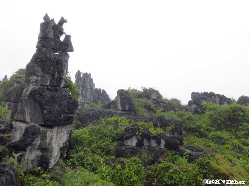 桂林旅游名城景点：灌阳文市石林 - 游山玩水 - 淮北生活社区 - 淮北28生活网 huaibei.28life.net