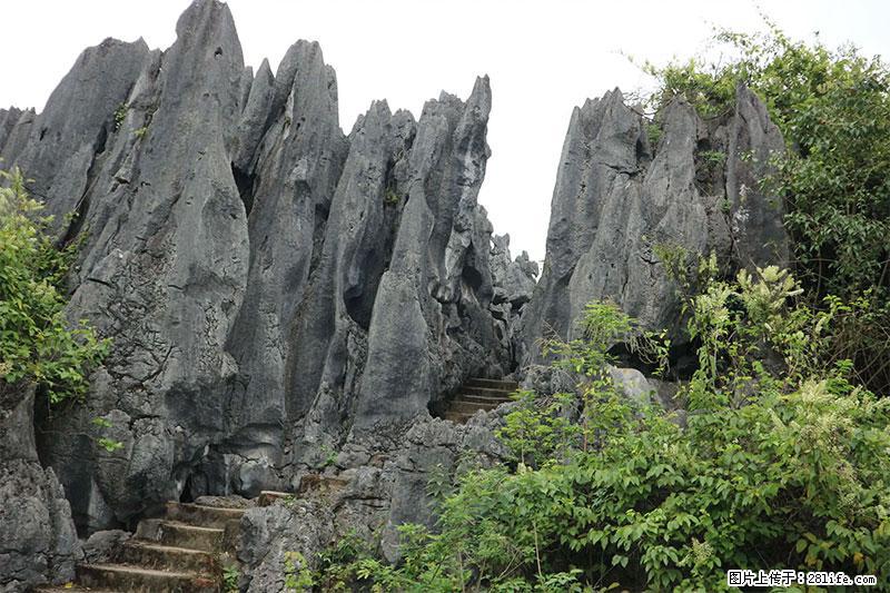 桂林旅游名城景点：灌阳文市石林 - 游山玩水 - 淮北生活社区 - 淮北28生活网 huaibei.28life.net