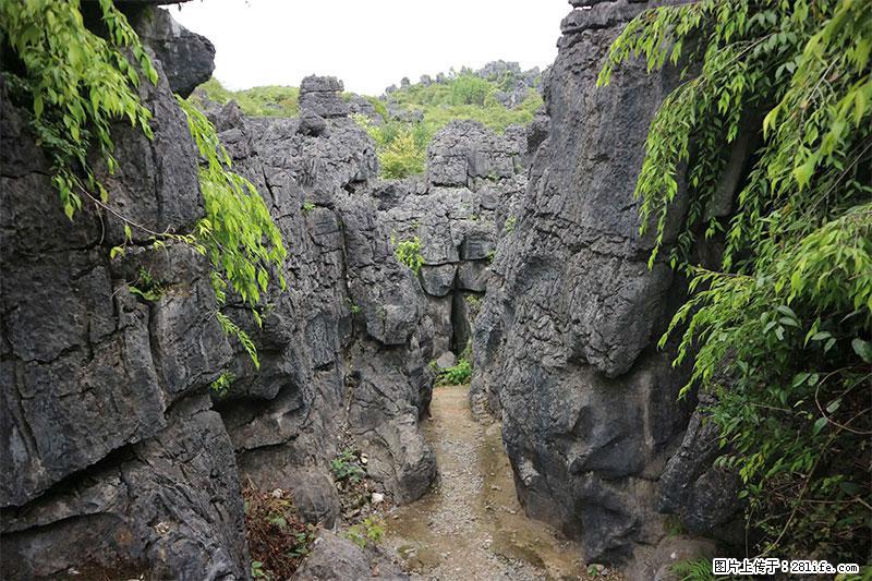 桂林旅游名城景点：灌阳文市石林 - 游山玩水 - 淮北生活社区 - 淮北28生活网 huaibei.28life.net