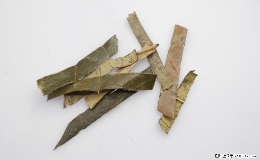 苦丁茶有哪些功效和作用 - 生活百科 - 淮北生活社区 - 淮北28生活网 huaibei.28life.net