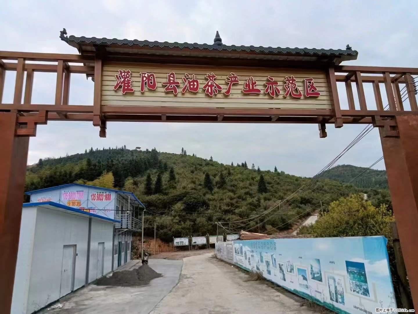 【灌阳县油茶产业示范区】一个有着充实的精神生活的人，对待身外之物自会有一种淡泊的态度 - 美食天地 - 淮北生活社区 - 淮北28生活网 huaibei.28life.net