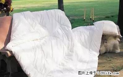 被子有异味？只要这样做，比晒太阳还强100倍！ - 家居生活 - 淮北生活社区 - 淮北28生活网 huaibei.28life.net