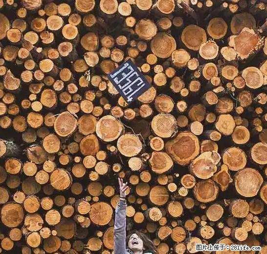 辞掉工作周游世界？现在他们在洗厕所…… - 游山玩水 - 淮北生活社区 - 淮北28生活网 huaibei.28life.net
