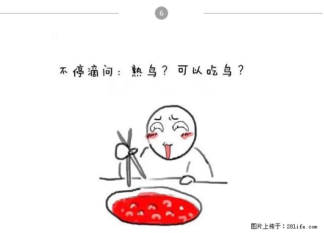 千万不要和这9种哈卵一起吃火锅！ - 美食天地 - 淮北生活社区 - 淮北28生活网 huaibei.28life.net