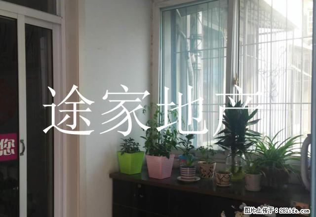 濉溪路花鸟市场对面 一楼商，住两用 - 房屋出租 - 房屋租售 - 淮北分类信息 - 淮北28生活网 huaibei.28life.net