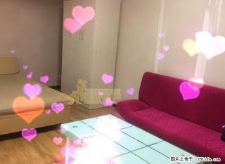 鼎盛国际中装公寓，邻近一马路金鹰大润 家具家电齐全 即租即住 - 淮北28生活网 huaibei.28life.net
