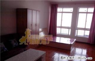 天骄国际 精装修公寓 家具家电齐全 温馨舒适 - 淮北28生活网 huaibei.28life.net
