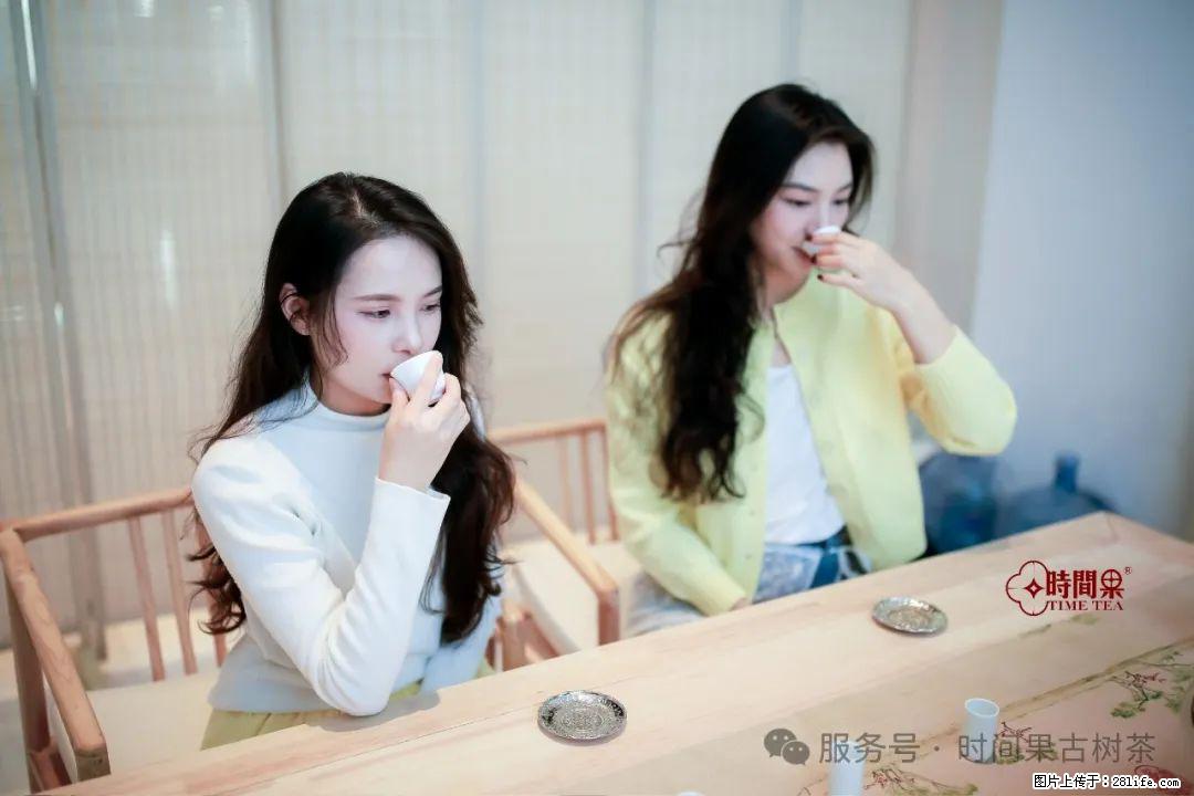 时间果百年古树龙珠普洱生茶 - 购物交流 - 淮北生活社区 - 淮北28生活网 huaibei.28life.net