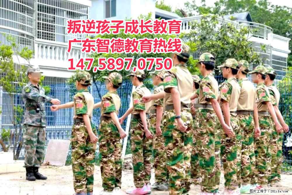 广东叛逆孩子教育学校,广东智德教育 - 综合信息 - 其他综合 - 淮北分类信息 - 淮北28生活网 huaibei.28life.net