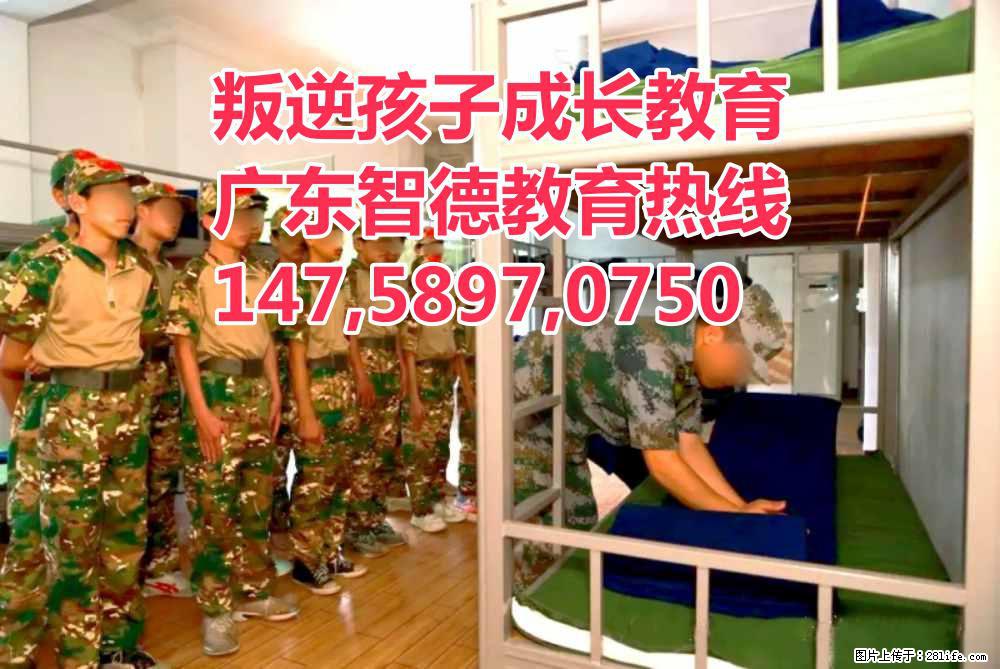广东叛逆孩子教育学校,广东智德教育 - 综合信息 - 其他综合 - 淮北分类信息 - 淮北28生活网 huaibei.28life.net