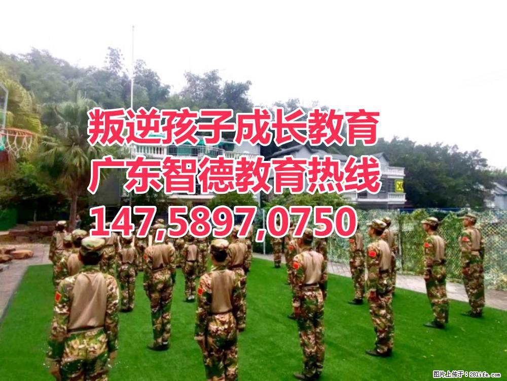 广东叛逆孩子教育学校,广东智德教育 - 综合信息 - 其他综合 - 淮北分类信息 - 淮北28生活网 huaibei.28life.net