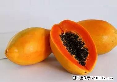 晕车、脚气、牙齿变黄、皮肤粗糙？学会这些三分钟搞定！ - 淮北生活资讯 - 淮北28生活网 huaibei.28life.net