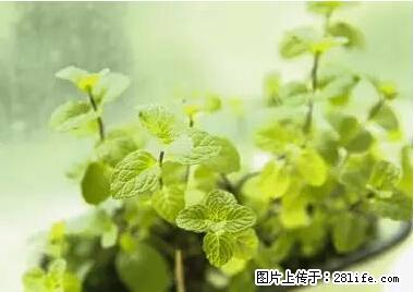 晕车、脚气、牙齿变黄、皮肤粗糙？学会这些三分钟搞定！ - 淮北生活资讯 - 淮北28生活网 huaibei.28life.net
