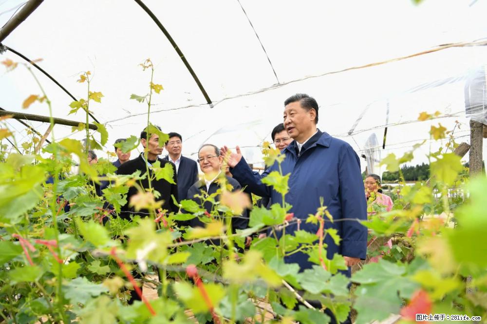 习近平赴广西考察调研 - 淮北生活资讯 - 淮北28生活网 huaibei.28life.net