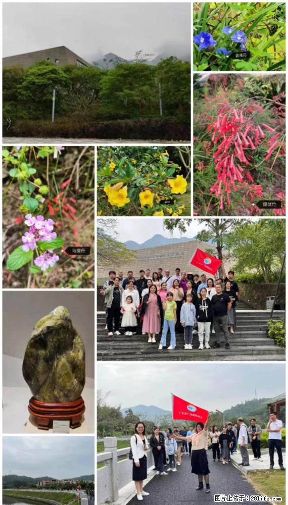 “粤灌文化 美好生活”油茶文化主题活动在广东深圳成功举办 - 淮北生活资讯 - 淮北28生活网 huaibei.28life.net