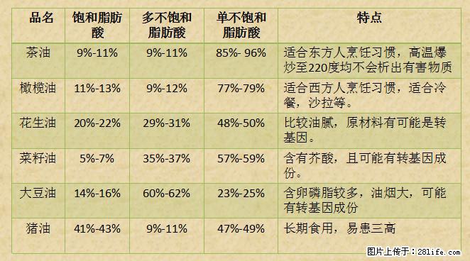 揭秘茶油的5大核心营养成分！被称为人体健康的“守护盾”！ - 淮北生活资讯 - 淮北28生活网 huaibei.28life.net