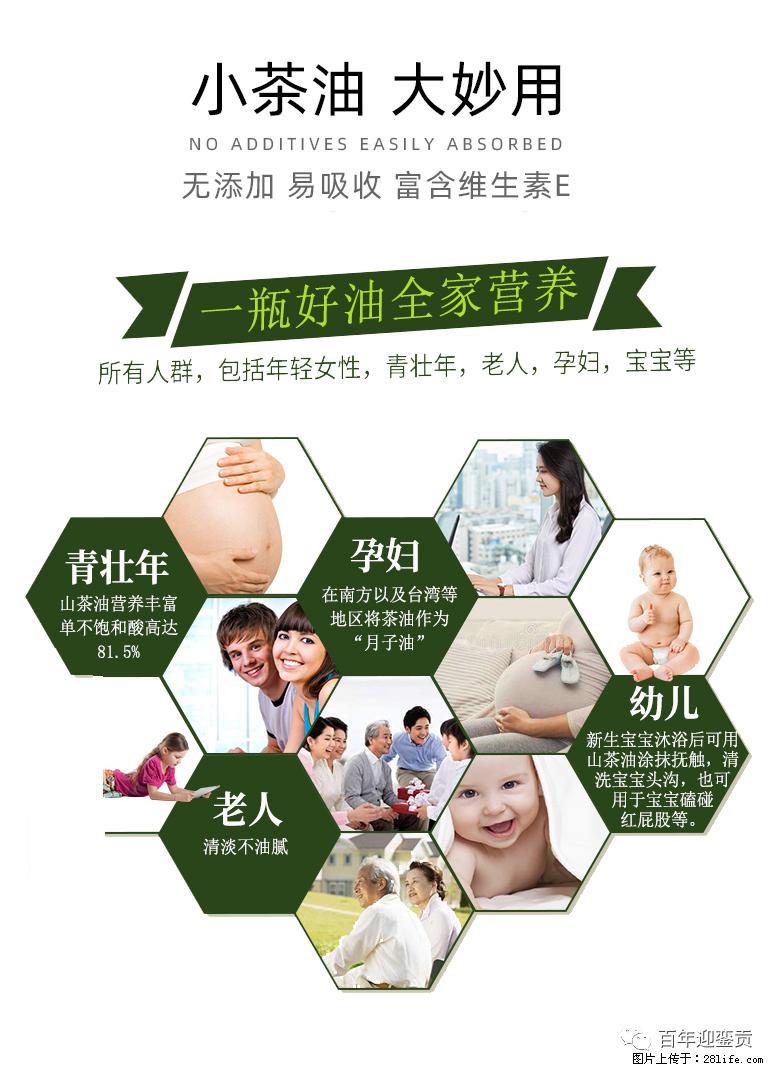 世界没有真相，只有认知，最好的食用油是中国的山茶油！ - 淮北生活资讯 - 淮北28生活网 huaibei.28life.net